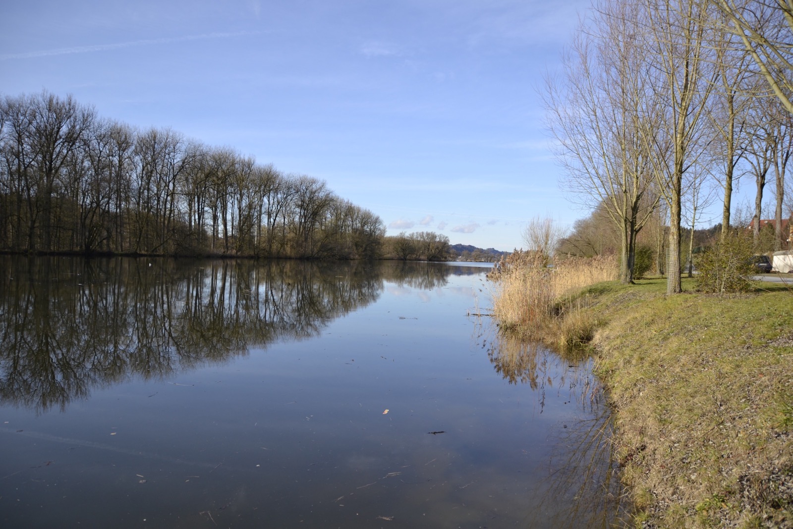 Ruhiger Donaualtarm bei Windorf mit Spiegelung der Baumreihe