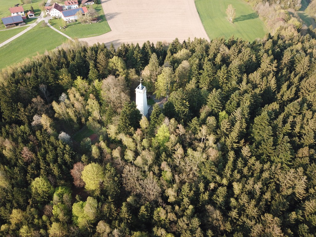 Ebersberger Aussichtsturm über dem Wald, Luftaufnahme